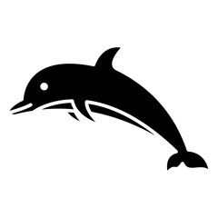 Fototapeta premium dolphin 