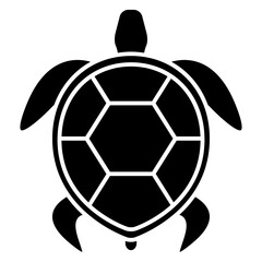 Fototapeta premium turtle 