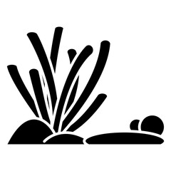 Fototapeta premium seaweed