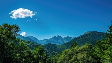 Green leafed trees resembling mountains under a clear blue sky