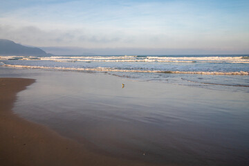 Florianopolis praia do Santinho neblina marítima rochas Florianópolis, Santa Catarina, Brasil 