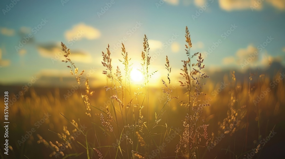 Poster a field of tall grass with a sun in the sky. generate ai image