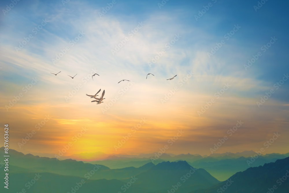 Wall mural Birds fly across blue and yellow sky, beauty of nature in motion