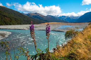 Waimakariri River - New Zealand