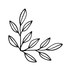 Hand drawn set of line frames on a white background. Corner Border Eklement. Sketch elements of floral and herbs ornaments for banner design. Line border collection. Arrows. Isolated separators. Vinta