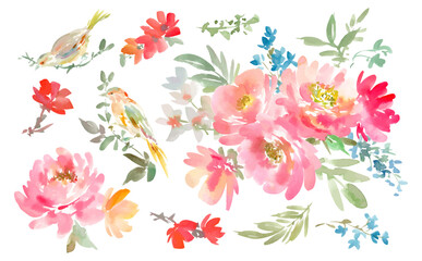 Watercolor abstract Peony Flowers, Birds, and Plants Vector Illustration Set