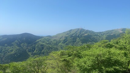 Fototapeta premium 自然