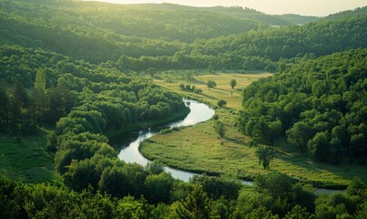 A serene countryside scene featuring a tranquil river winding through a valley surrounded by dense forests