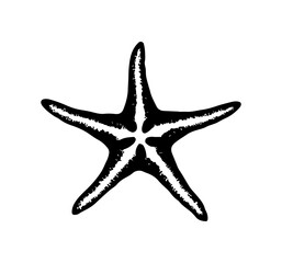 starfish engraving black and white outline, Starfish silhouette vector illustration