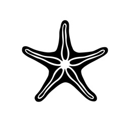 starfish engraving black and white outline, Starfish silhouette vector illustration
