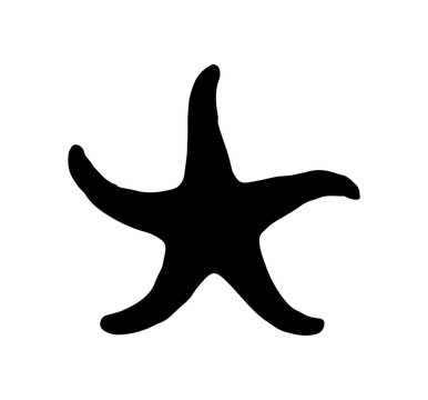 recommend clip art: starfish engraving black and white outline, Starfish silhouette vector illustration