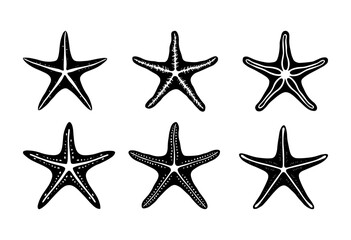a collection of starfish, starfish engraving black and white outline