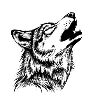 recommend clip art: wolf howl engraving black and white outline