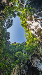 The clear blue sky, framed by green tree branches and steep cliff slopes, is visible from the cave. A look from the bottom up. Malaysia. Kuala Lumpur. Batu caves.
