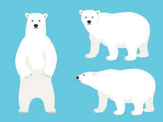シロクマのベクターイラストセット