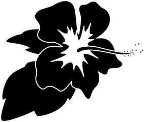 polynesian illustration hawaiian silhouette hawaii logo tiki icon tropical outline flower tribal mask summer ethnic hibiscus totem traditional beach shape lei palm leaf for vector graphic background