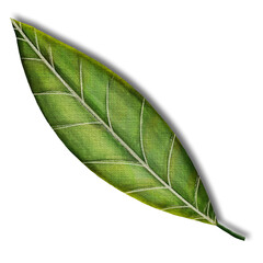 Fototapeta premium Watercolor Tropical green leaf fabric texture 