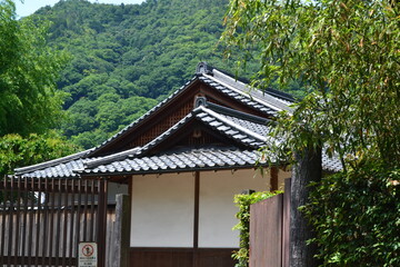 Obraz premium japanese house