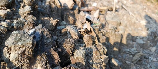 view of dry soil texture
