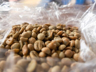Raw Arabica Coffee Been