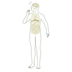 シンプルな人体図のイラスト