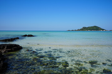 clear shoaling beach and mossy rocks