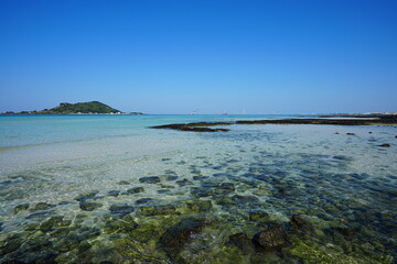 clear shoaling beach and mossy rocks