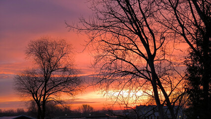 colorful sunset sky in Krakow seen through the tree branches