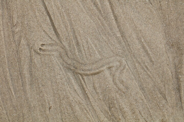 Patterns in beach sand for backgrounds