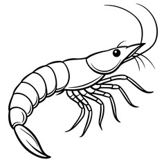 illustration of a shrimp