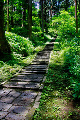 継子坂・ままこざか・羽黒山（山形県・鶴岡市） © tk2001