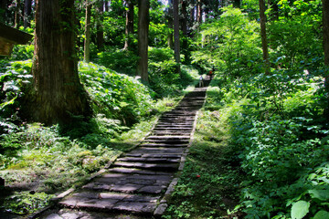 継子坂・ままこざか・羽黒山（山形県・鶴岡市） © tk2001