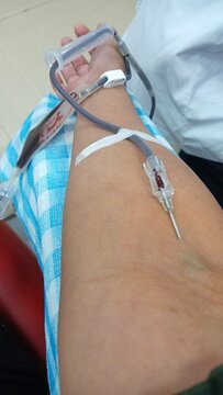 donor darah or blood donation at PMI (palang merah indonesia) or Indonesian Red Cross