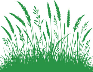 grass vector, green grass