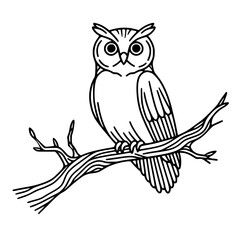 owl on branch