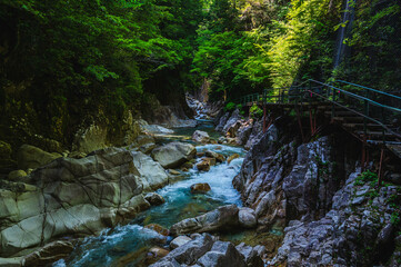 Obraz premium 柿其渓谷 南木曽町