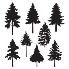 Obraz premium Silhouette pine trees collections.Vector illustration