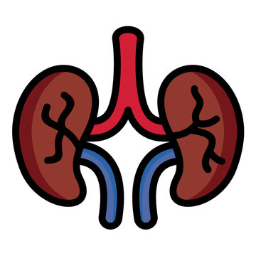 recommend clip art: Kidney Icon