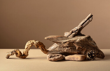 Abstract nature scene with a composition of stones and dry snags.