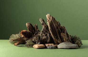 Abstract nature scene with a composition of moss, stones, and dry snags.