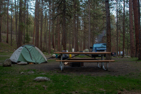 Campground with tent, picnic table, and parked vehicle surrounde