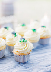 Vanilla cupcakes with white frosting and small blue decorations