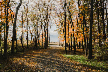 driveway on a gorgeous autumn day