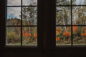 bright orange autum foliage through cabin window