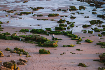 People exploring rocky beach at low tide in Sagres, Algarve, Portugal