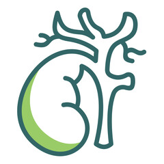 Gallbladder Icon