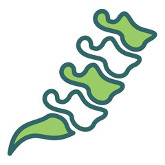 Spine Icon