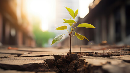 A plant sprouts from cracked concrete, a symbol of resilience in urban environments.