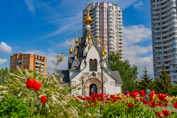 Moscow. City bustle. Nature.
