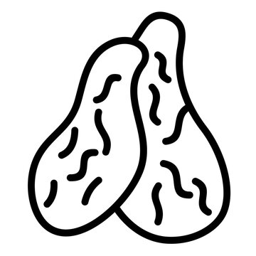 Thymus Icon